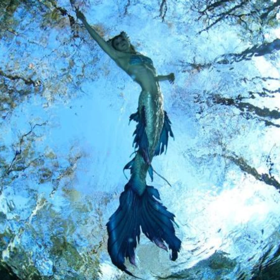 Mermaid From Below